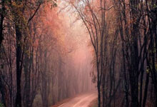 豪门国际:英超第6輪西漢姆聯1-1曼城 福登破門斯特林踢丟絕殺單刀球.