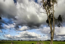 豪门国际平台:2021歐洲杯球隊名單.