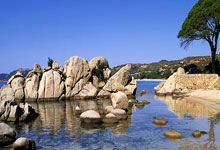 豪门国际注册:英超聯賽中單賽季解雇主教練的記錄是多少?.